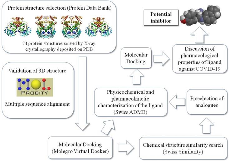 Int J Med Sci Image