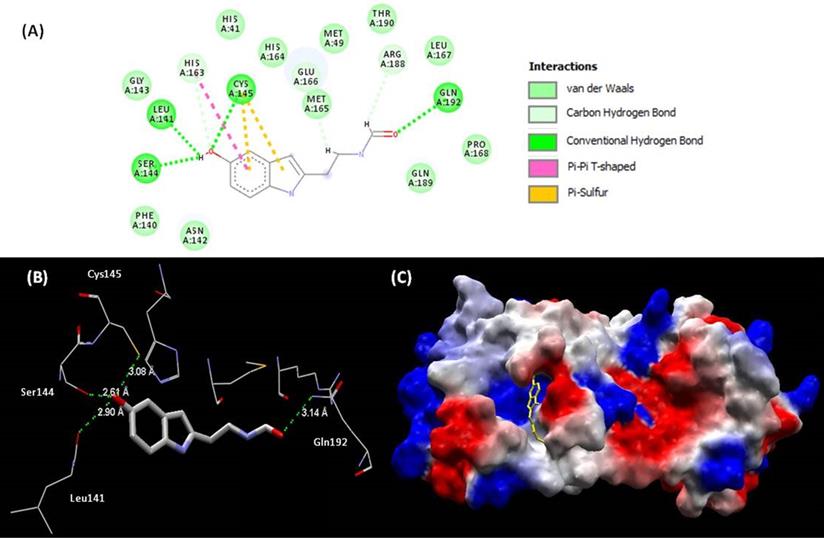 Int J Med Sci Image