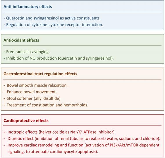 Int J Med Sci Image