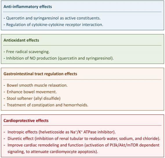 Int J Med Sci Image