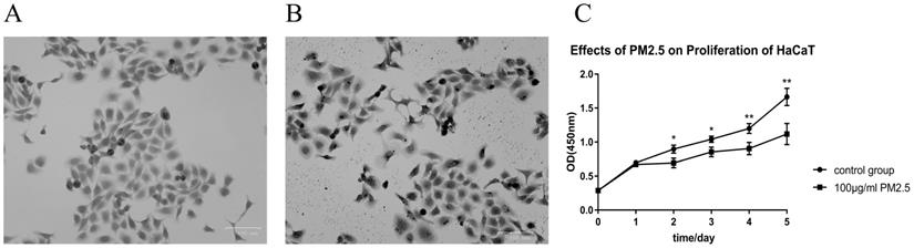 Int J Med Sci Image