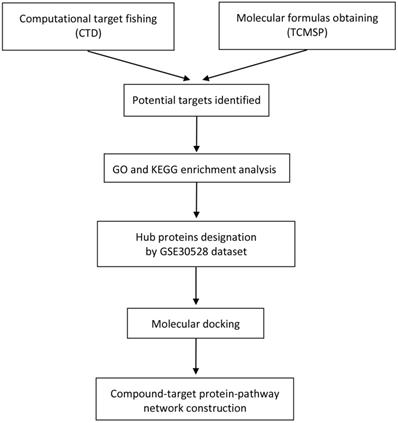 Int J Med Sci Image