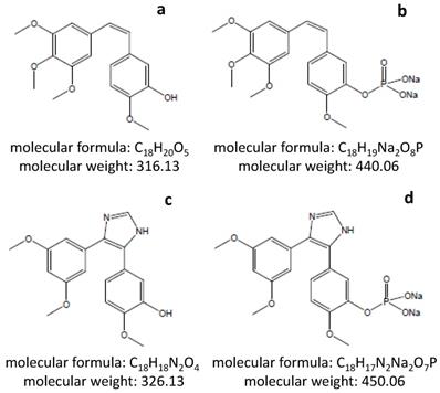 Int J Med Sci Image