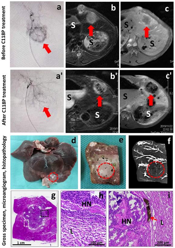 Int J Med Sci Image