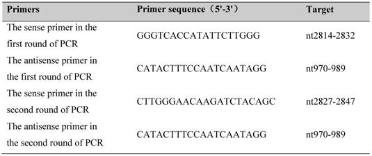 Int J Med Sci Image