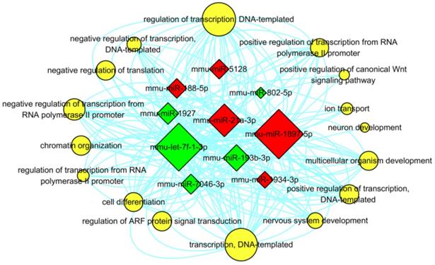 Int J Med Sci Image