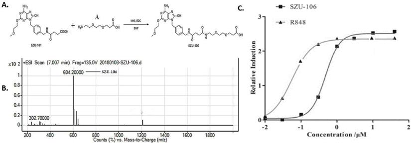 Int J Med Sci Image