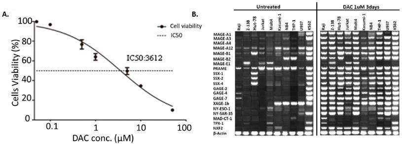 Int J Med Sci Image