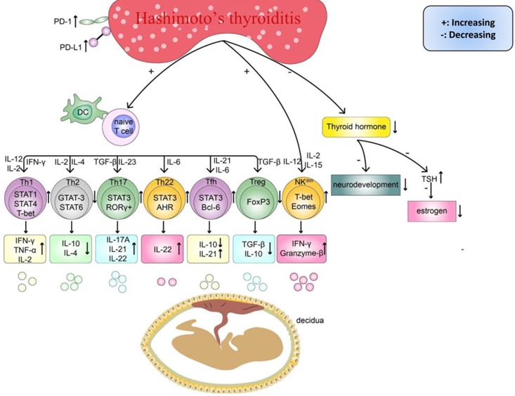 Int J Med Sci Image