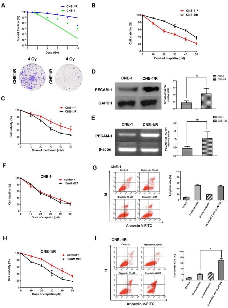 Int J Med Sci Image