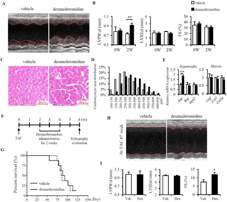 Int J Med Sci Image