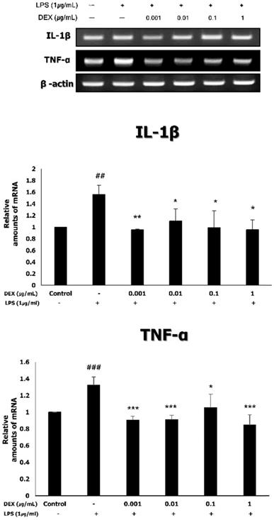 Int J Med Sci Image