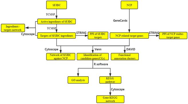 Int J Med Sci Image