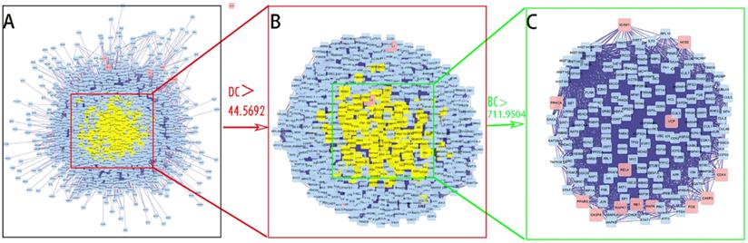 Int J Med Sci Image