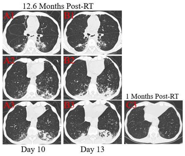 Int J Med Sci Image