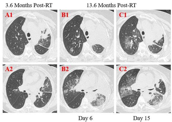 Int J Med Sci Image