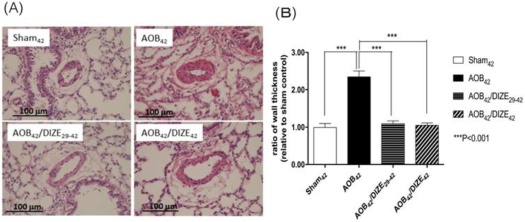 Int J Med Sci Image