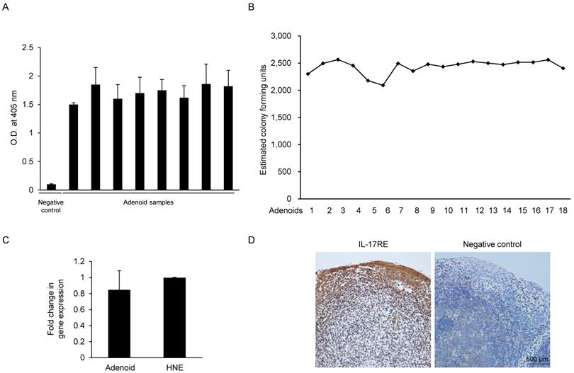 Int J Med Sci Image