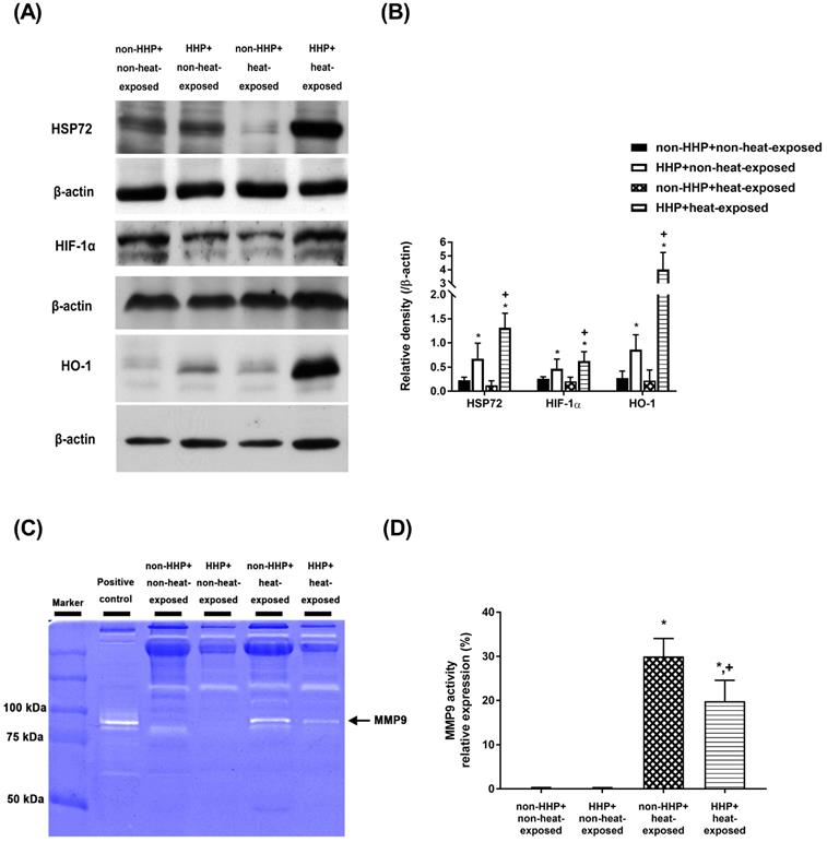 Int J Med Sci Image