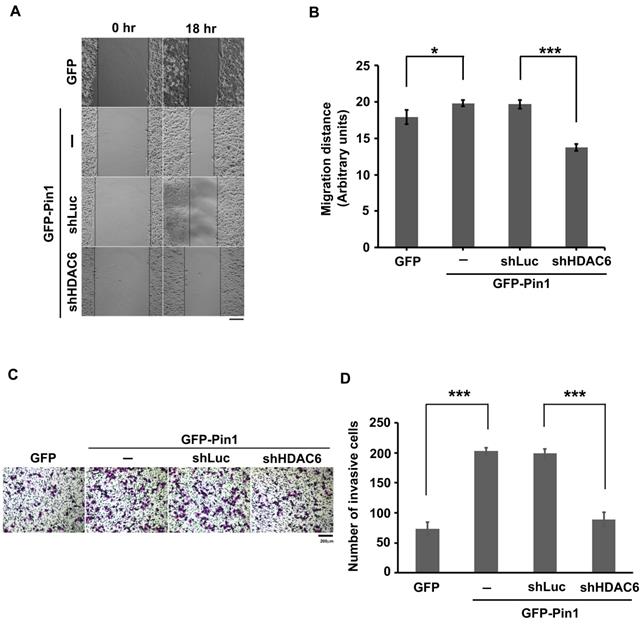 Int J Med Sci Image