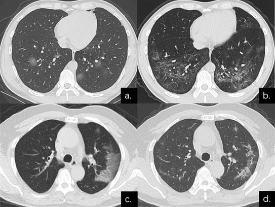 Int J Med Sci Image