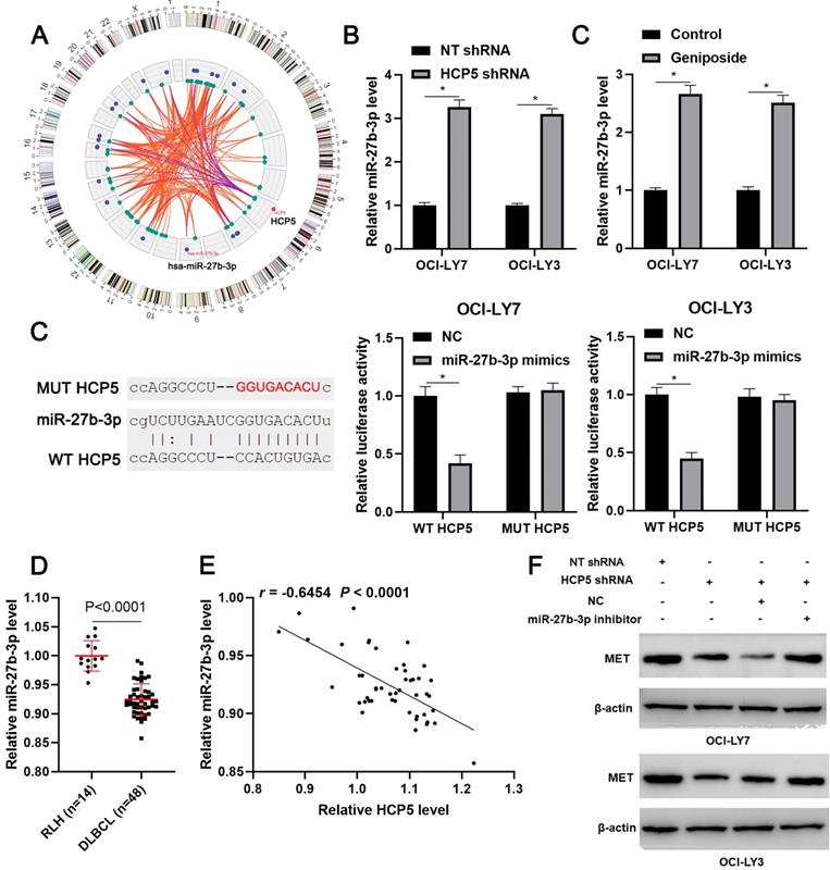 Int J Med Sci Image