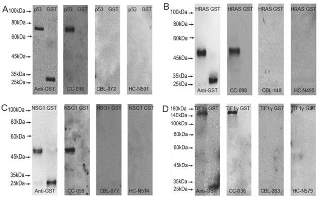 Int J Med Sci Image