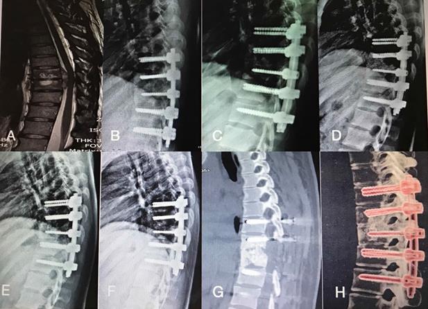 Int J Med Sci Image