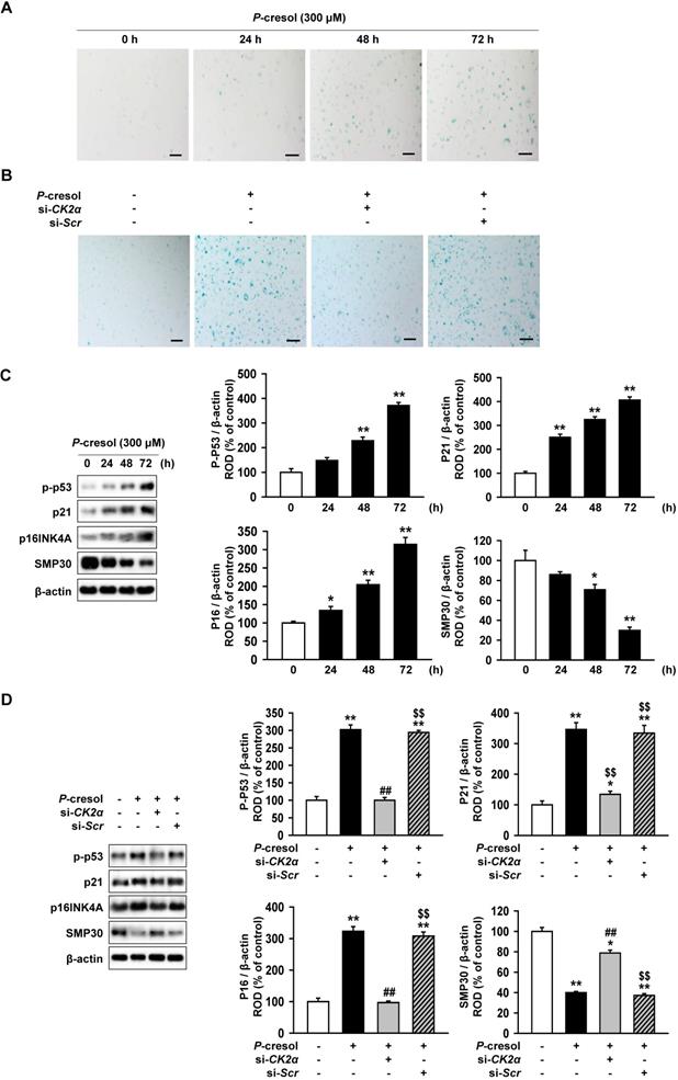 Int J Med Sci Image