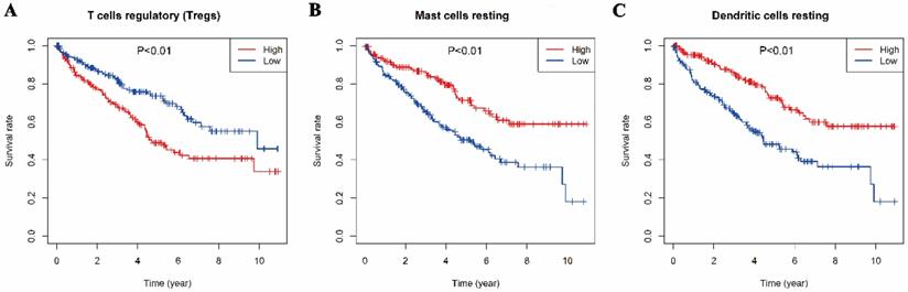 Int J Med Sci Image