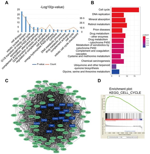 Int J Med Sci Image