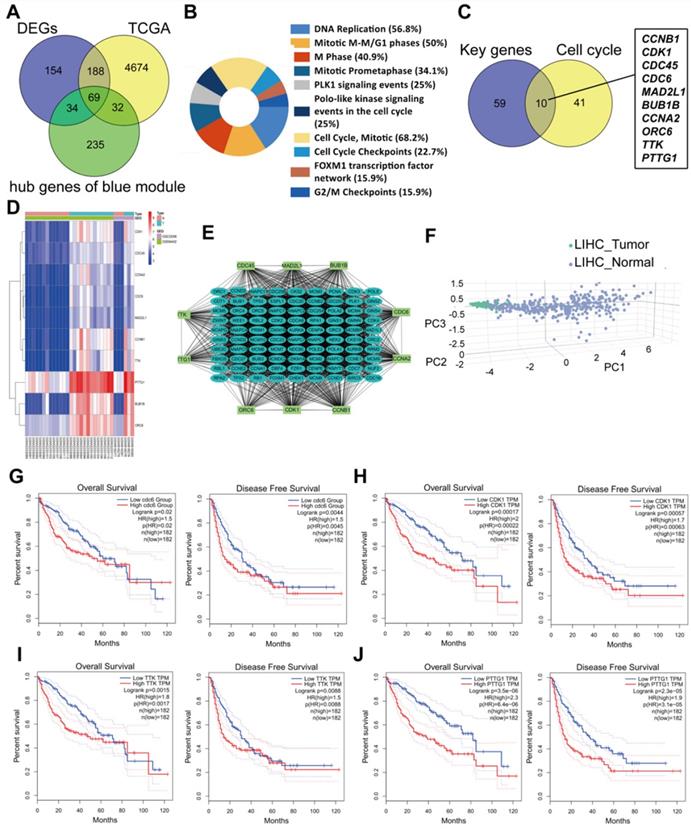 Int J Med Sci Image