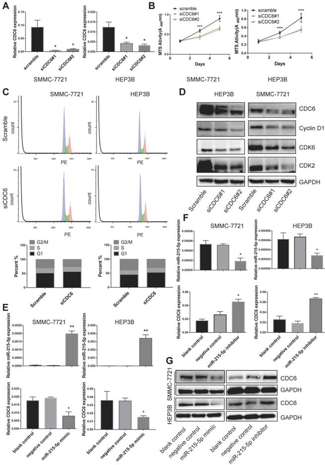 Int J Med Sci Image