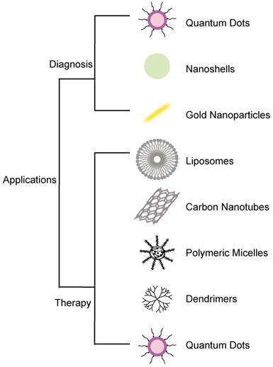 Int J Med Sci Image