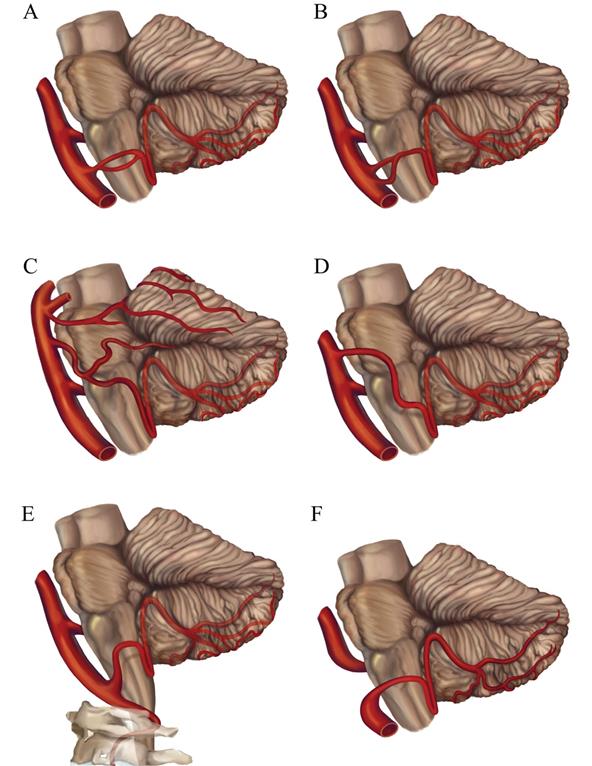 Int J Med Sci Image