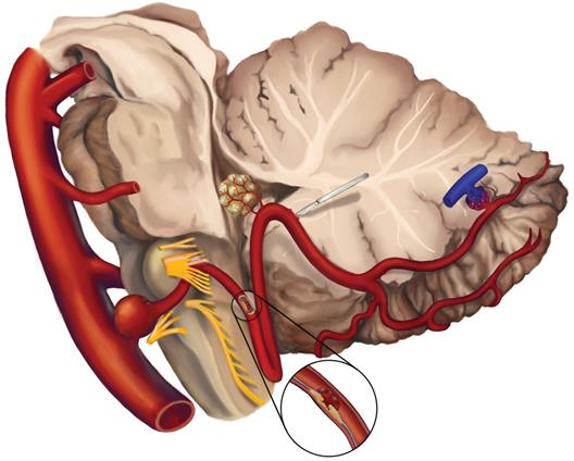 Int J Med Sci Image