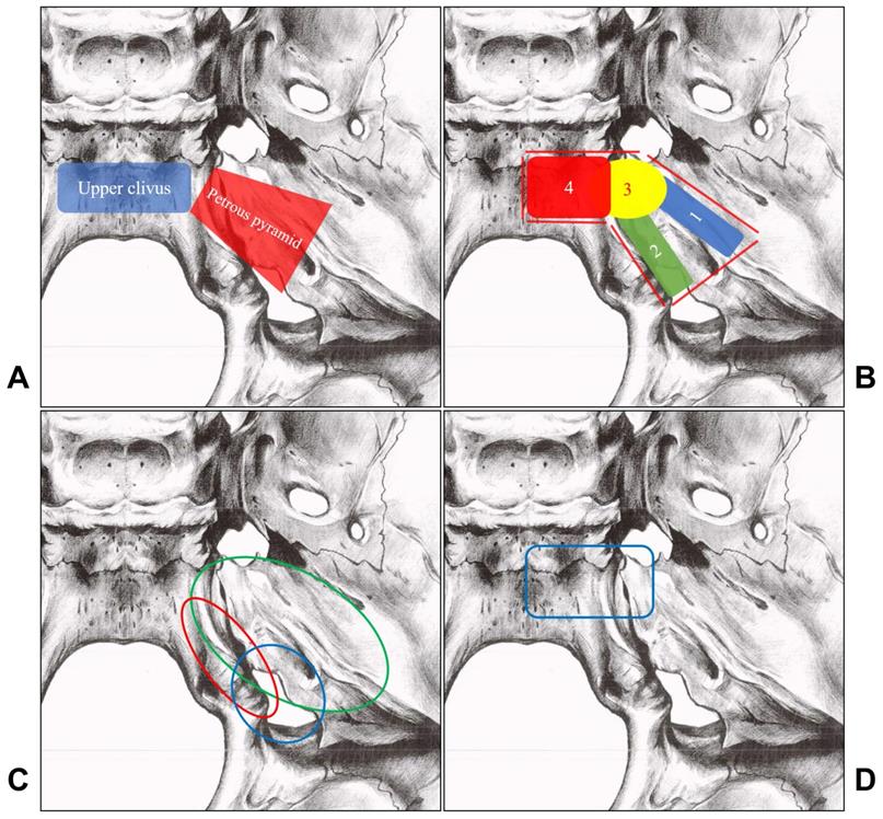 Int J Med Sci Image