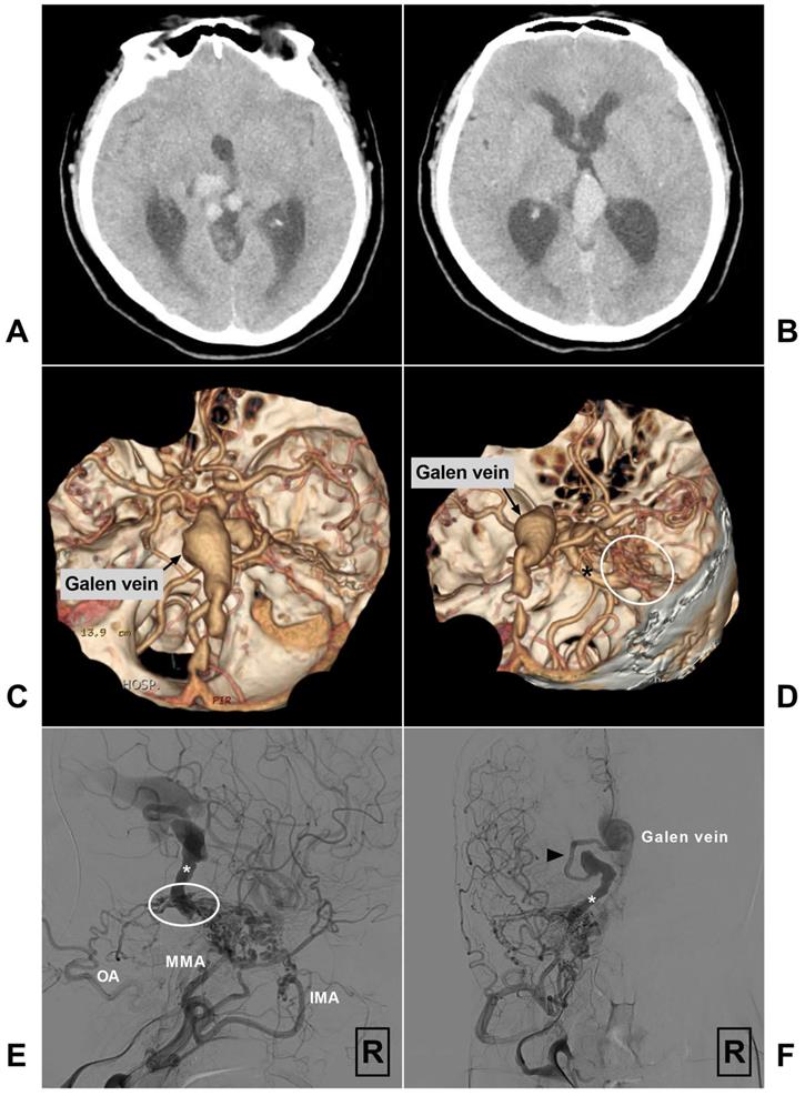 Int J Med Sci Image