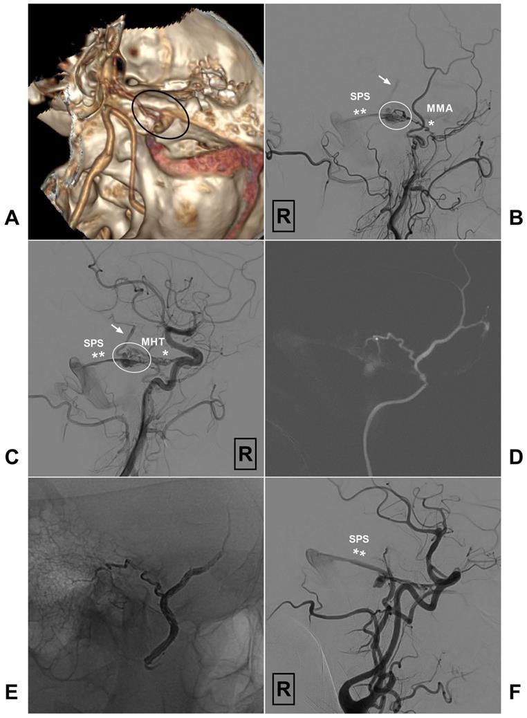 Int J Med Sci Image