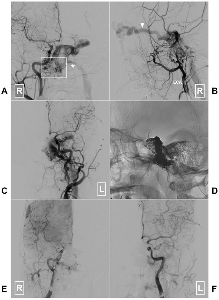 Int J Med Sci Image