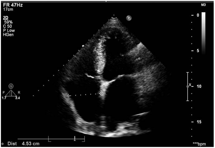 Int J Med Sci Image