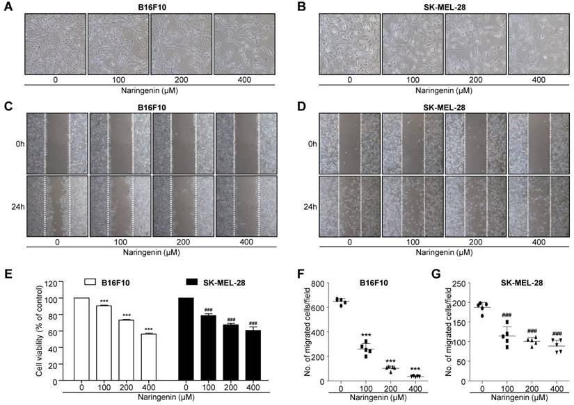 Int J Med Sci Image