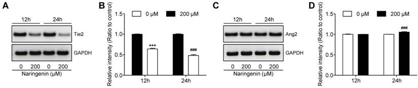 Int J Med Sci Image