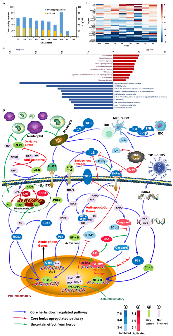 Int J Med Sci Image