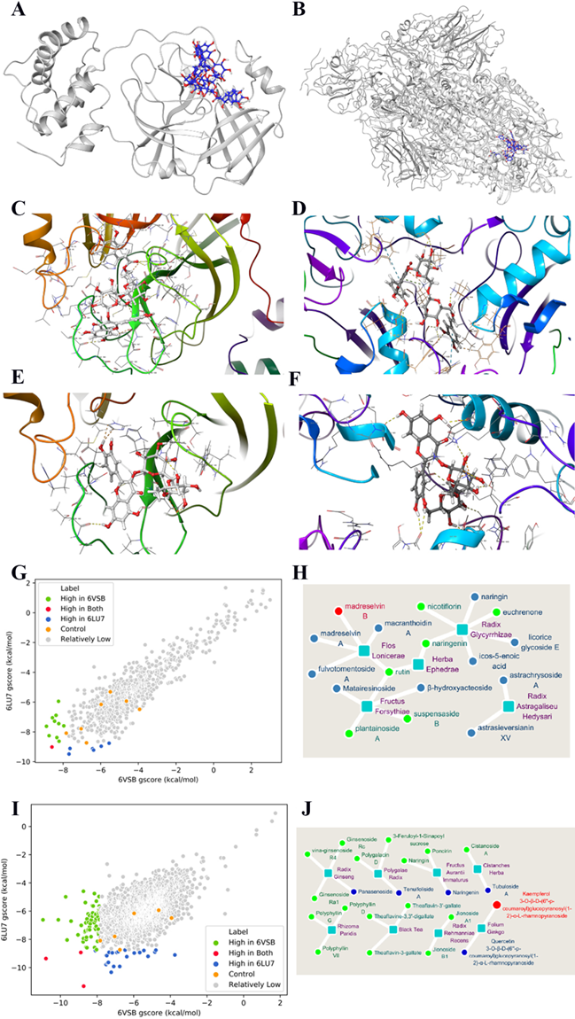 Int J Med Sci Image