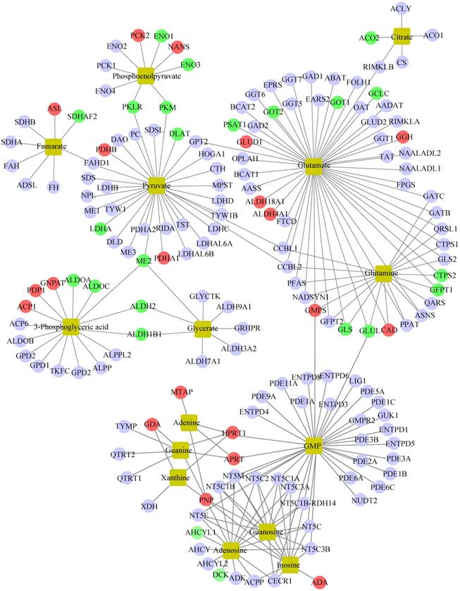 Int J Med Sci Image