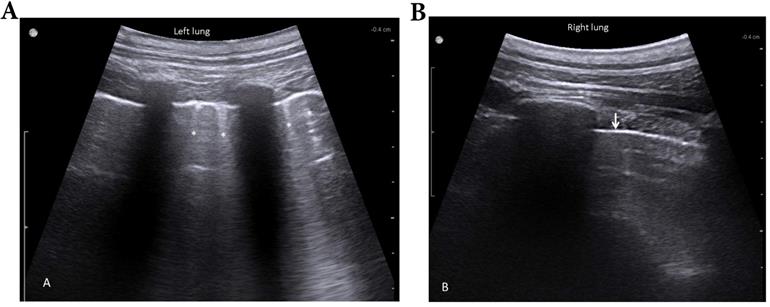 Int J Med Sci Image