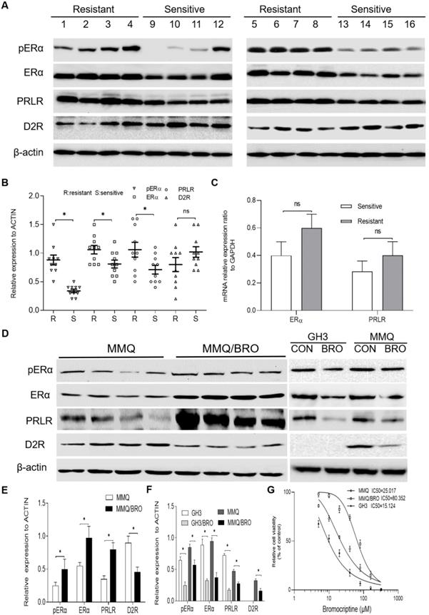 Int J Med Sci Image