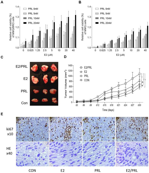 Int J Med Sci Image