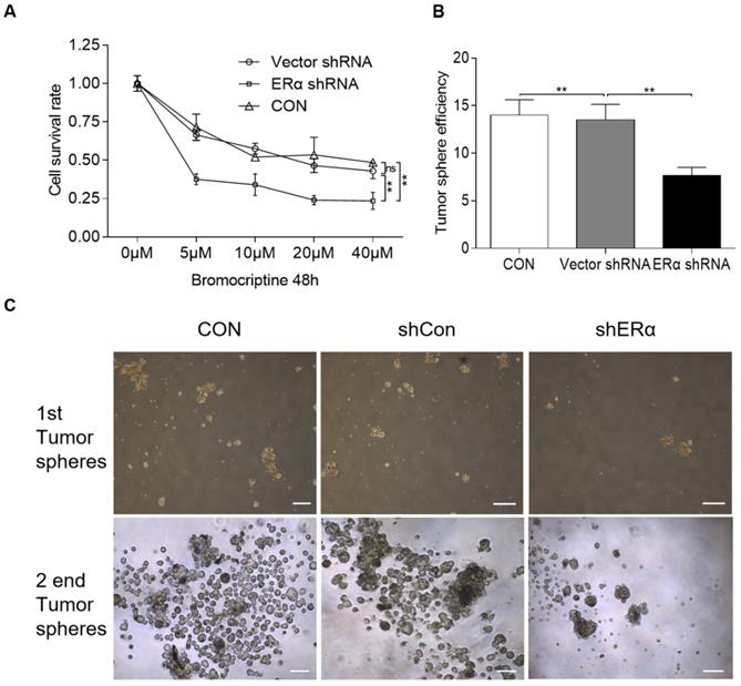 Int J Med Sci Image